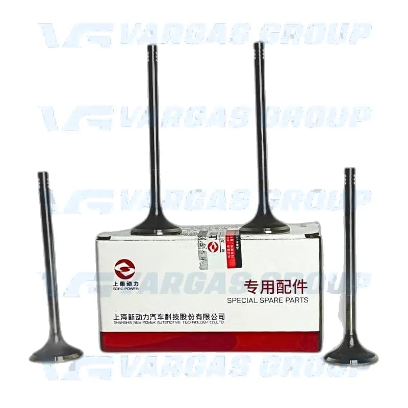 Valvulas de Admision MAXUS V80 — foto principal