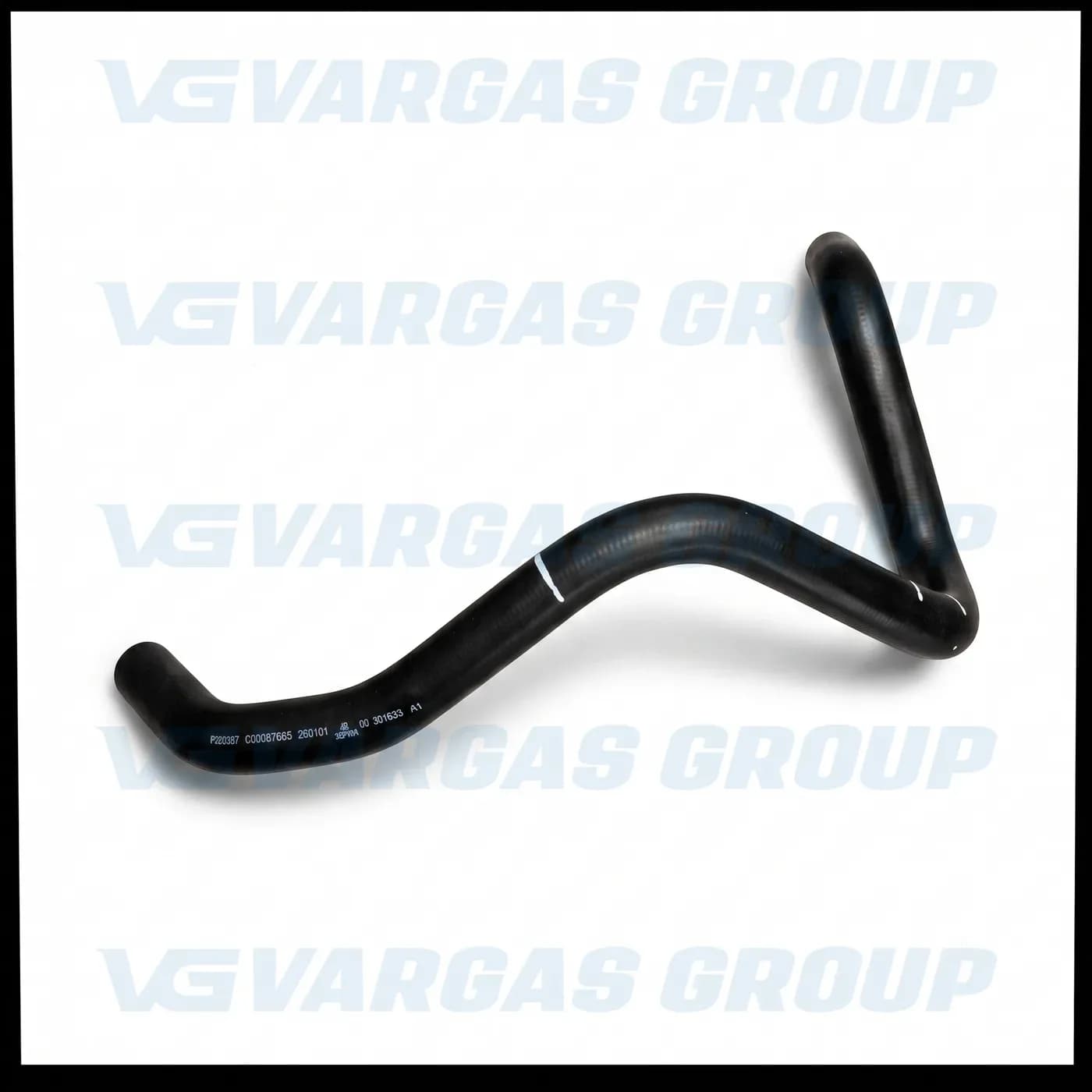 Manguera Salida de Tanque de Refrigerante 2 para MAXUS V80 2.5T