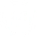 Repuestos FIAT